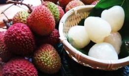 荔枝娱乐圈吃瓜爆料,荔枝吃瓜爆料，明星幕后故事大曝光