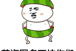 爆料女友吃瓜图片表情包,揭秘瓜界新宠儿